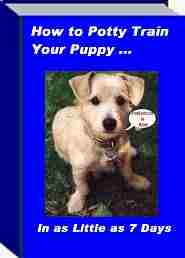 potty a puppy in 7 days puppy potty in 7 days how to potty your puppy in 7 days potty a puppy in 7 days puppy potty in 7 days how to potty your puppy in 7 days