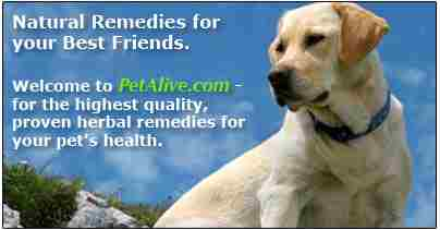 herbal pet remedies